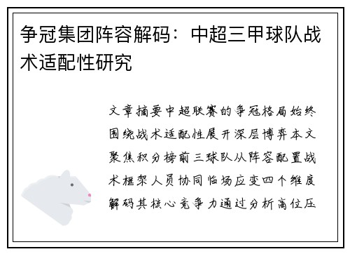 争冠集团阵容解码：中超三甲球队战术适配性研究